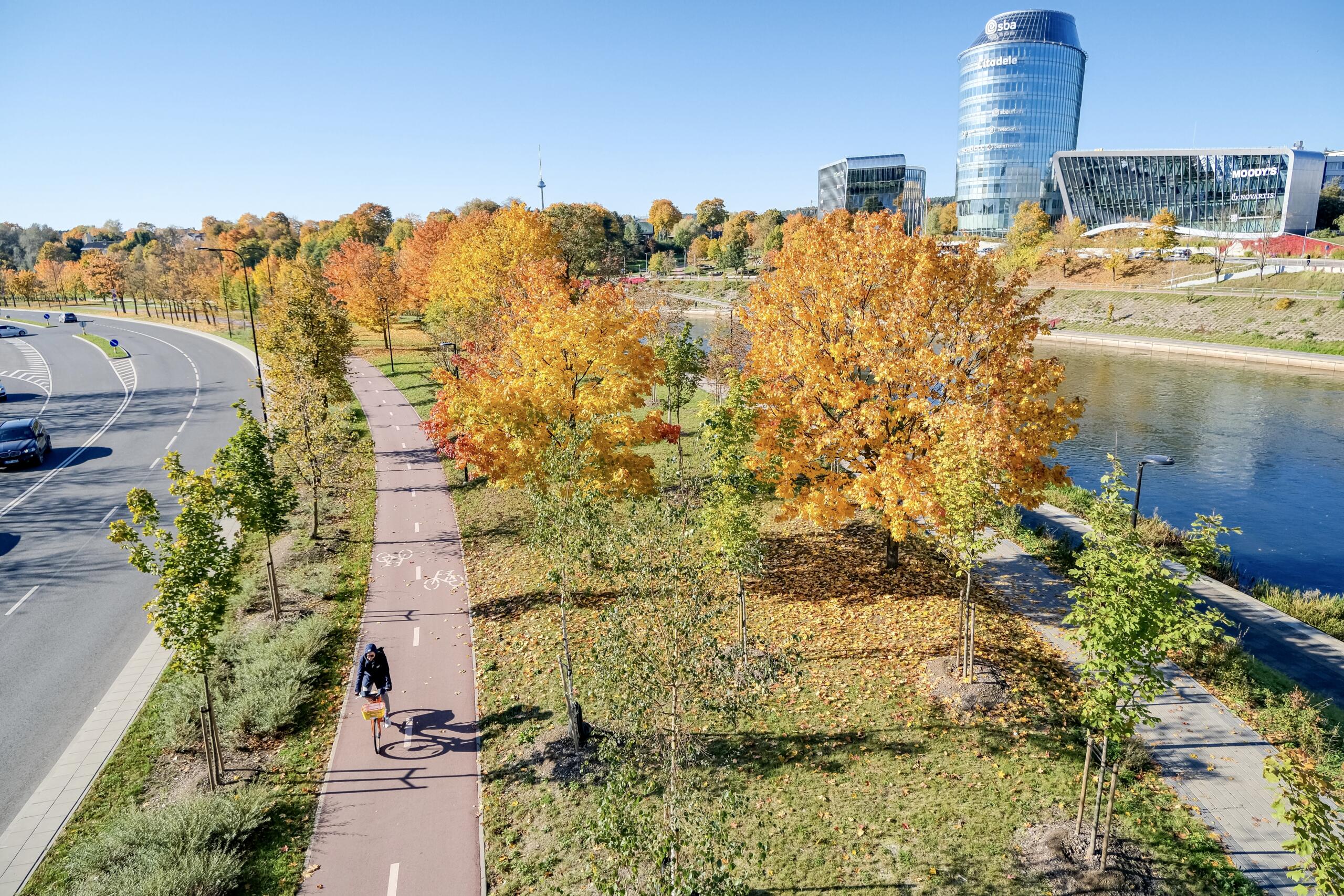 Phpto from above of a bike lane with one cyclist in the middle of a green area in autumn