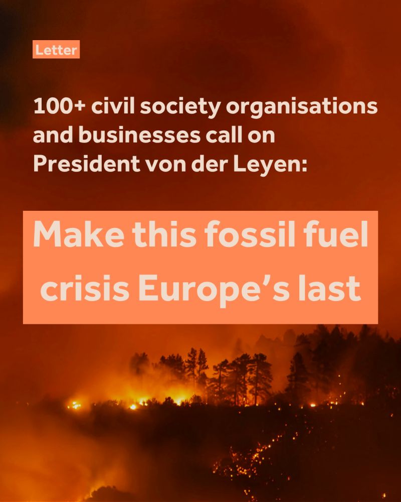 On the background, photo of a wildfire. The text in front reads: 100+ civil society organisations and businesses call on President von der Leyen to make this fossil fuel crisis Europe's last