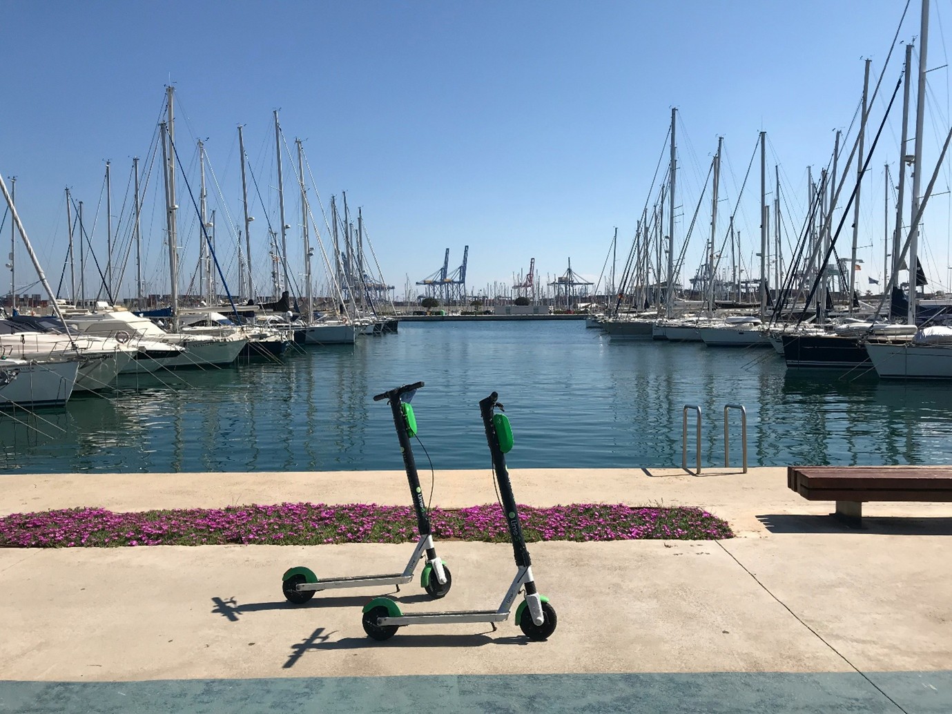 Shared micromobility at a touristic area