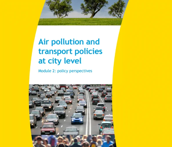 Impacts of transport-related policy measures on air quality