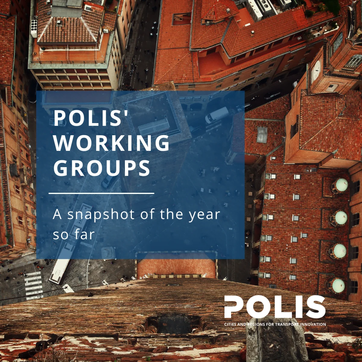 POLIS’ Working Groups: The year so far
