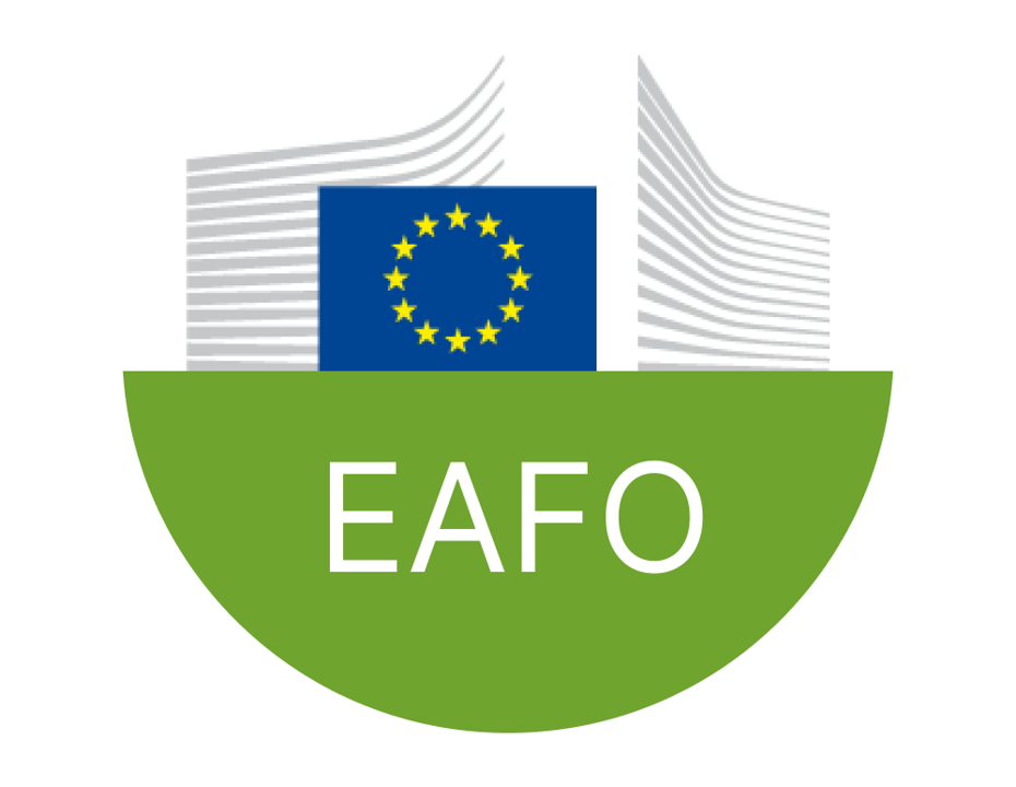 European Alternative Fuels Observatory (EAFO) 3.0