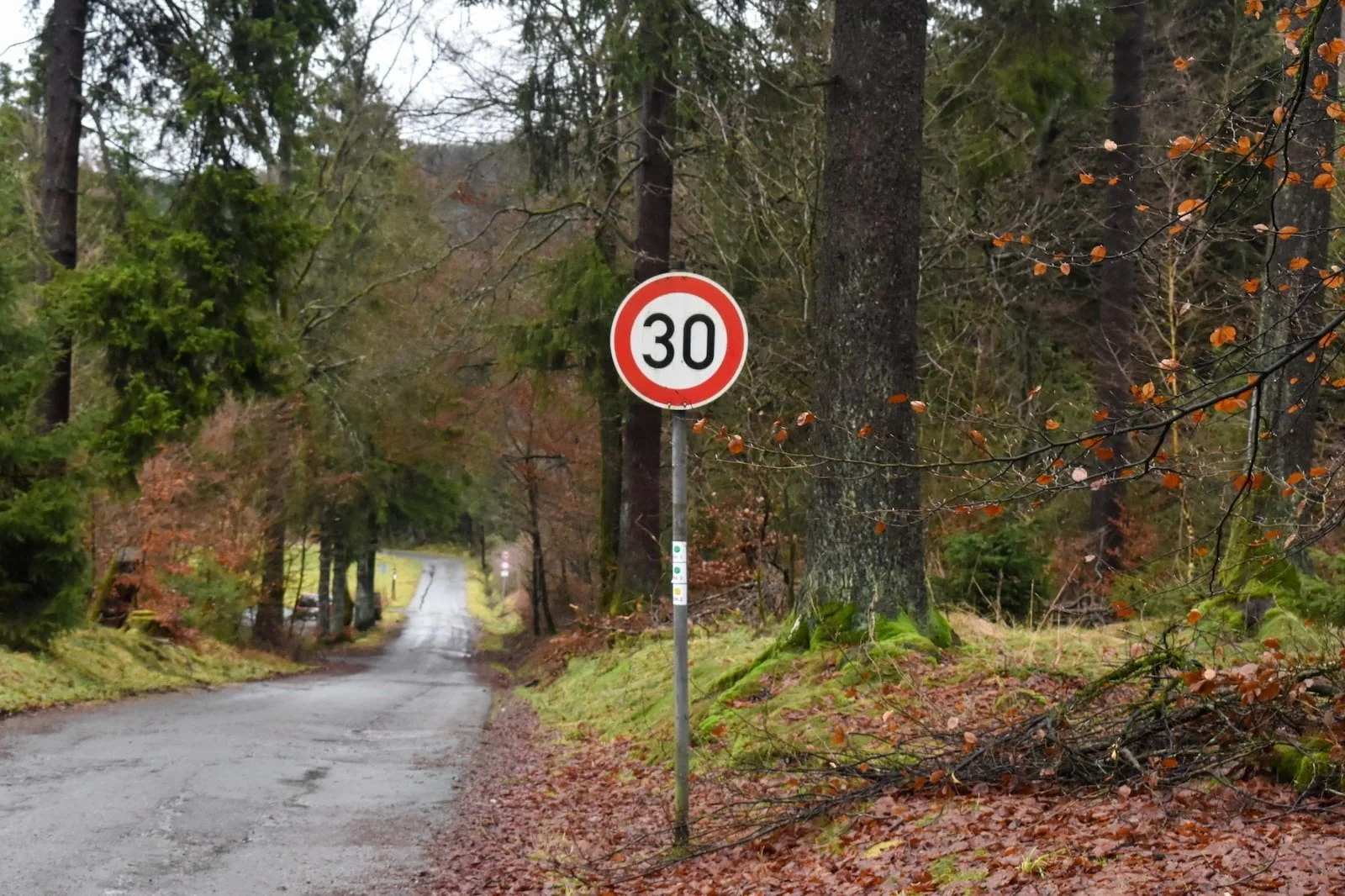 German cities demand freedom to implement 30 km/h speed zones