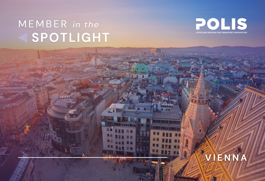 Member in the Spotlight: Vienna