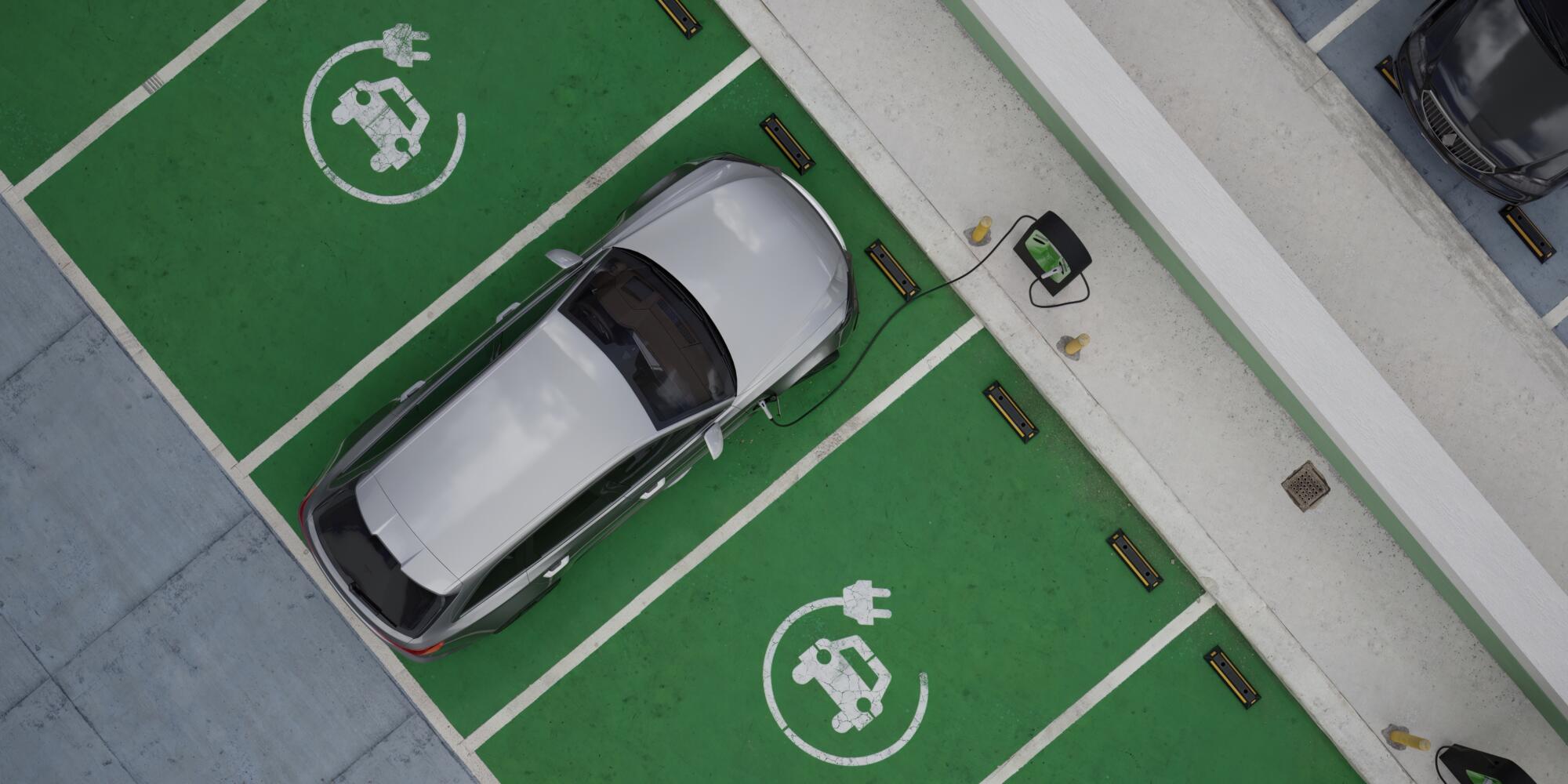 Answer EAFO’s 2025 Consumer Survey on electric mobility