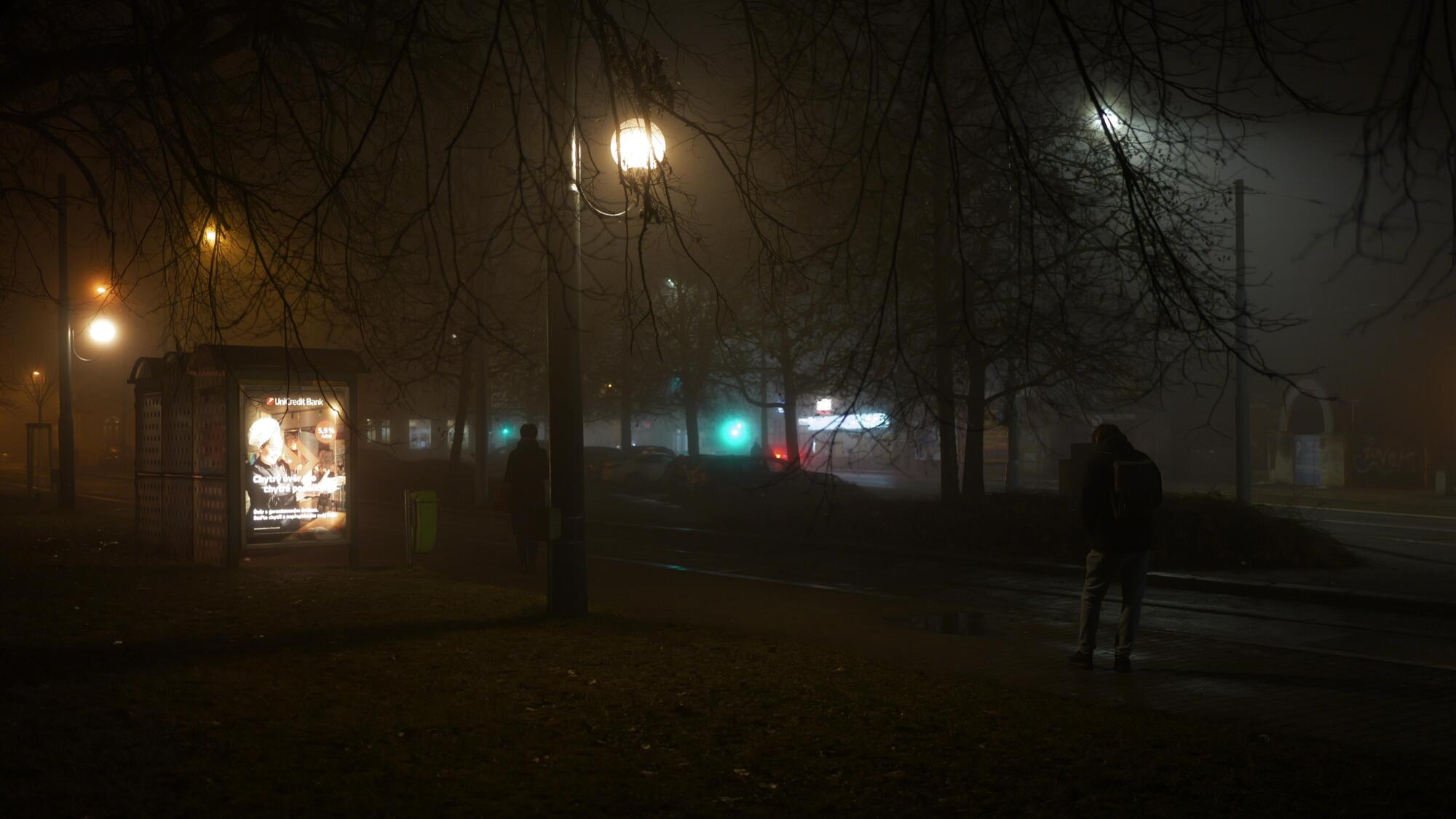 Night Owl